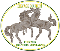 Elevage du Peup chevaux franches montagnes